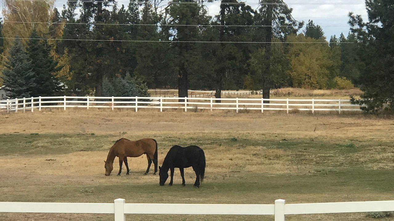 Photo of Outdoor in Thorpe Westwood