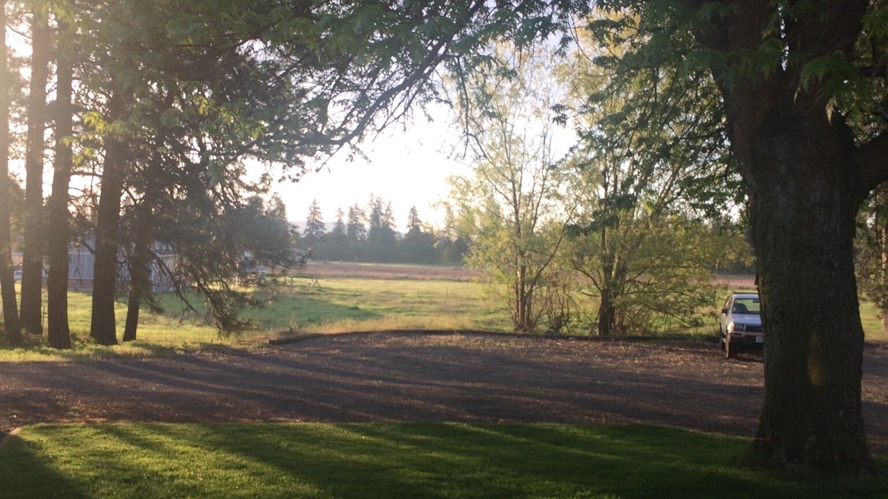 Photo of Outdoor in Thorpe Westwood