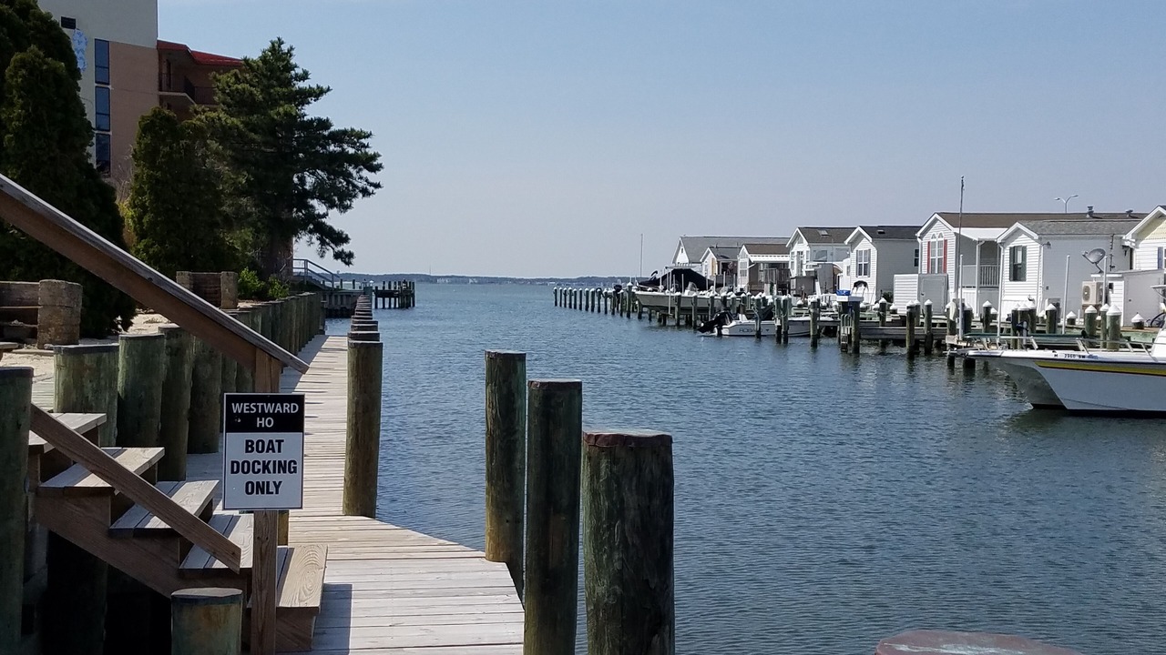 Photo of Others in Ocean City