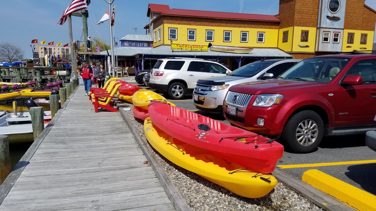 Photo of Others in Ocean City