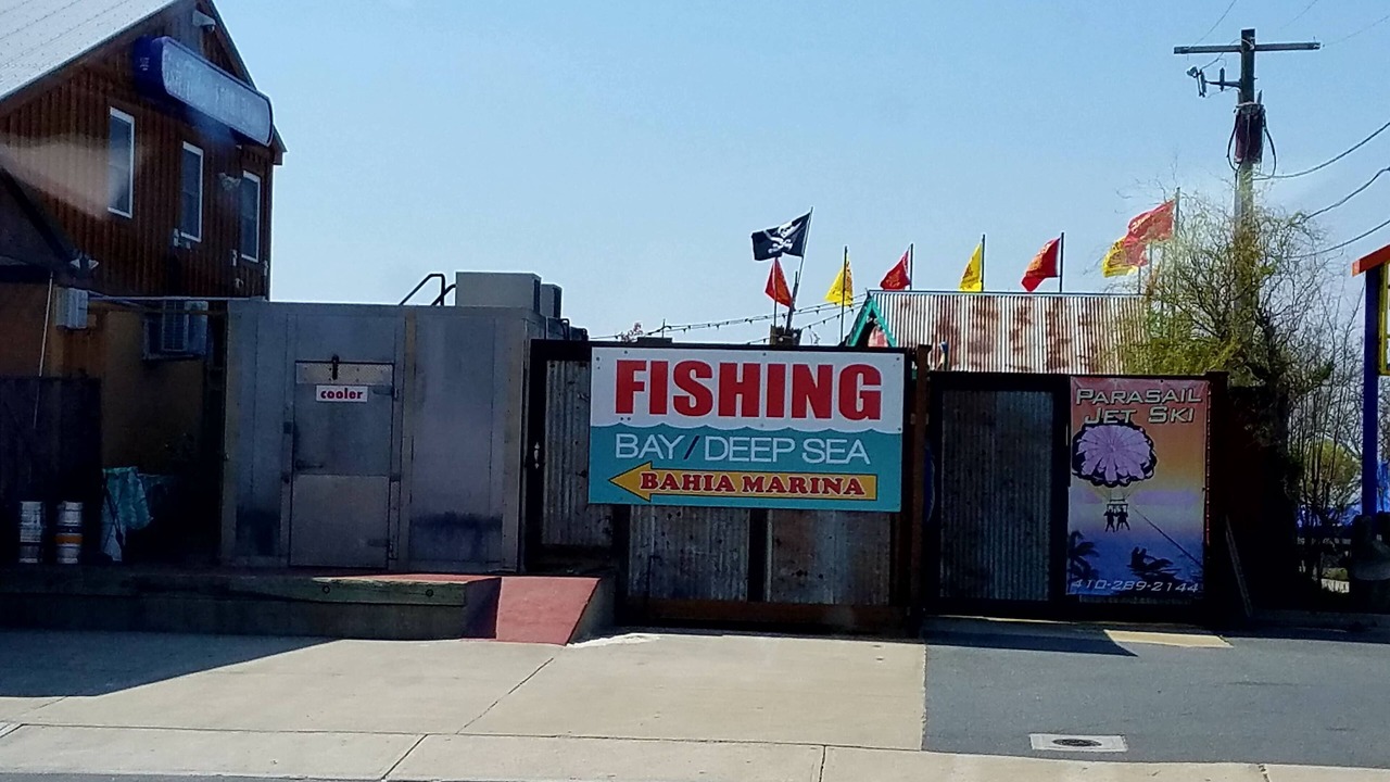 Photo of Outdoor in Ocean City