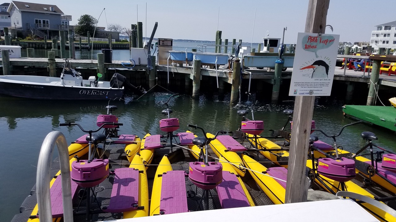 Photo of Others in Ocean City