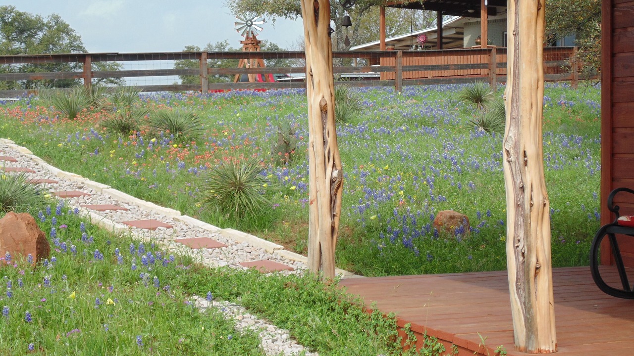 Photo of Others in Llano