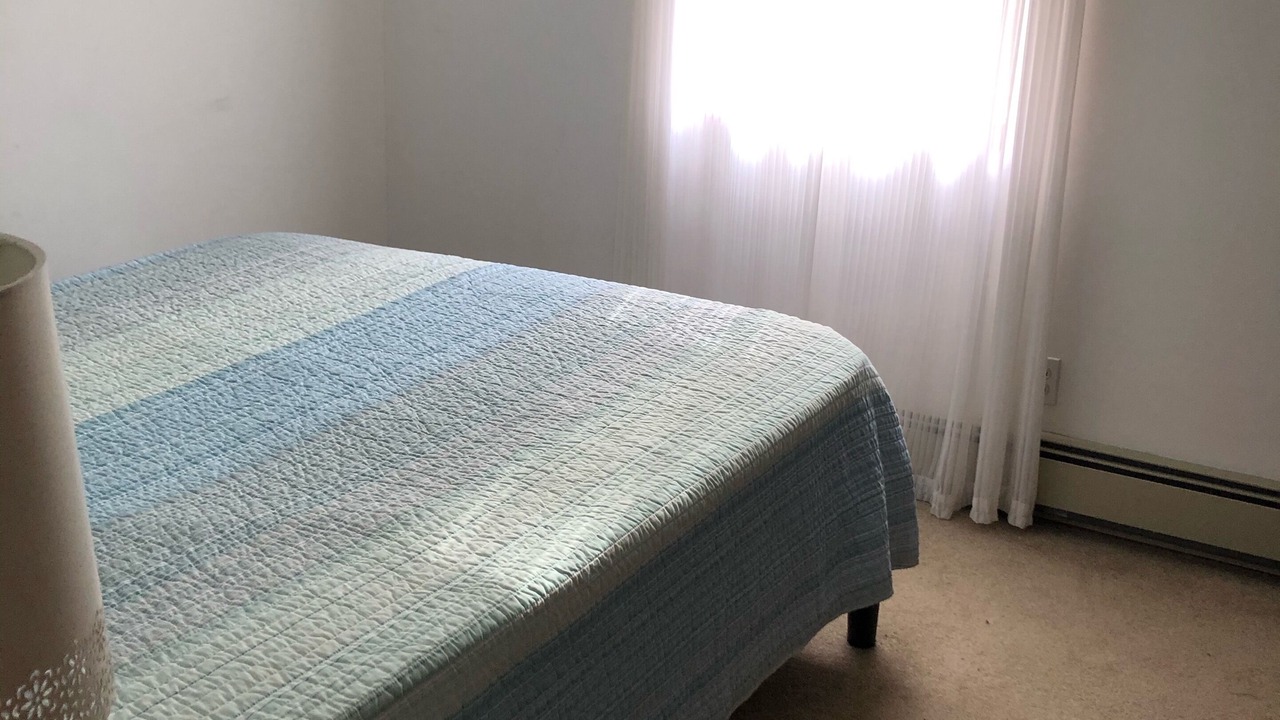 Photo of Others in Hancock