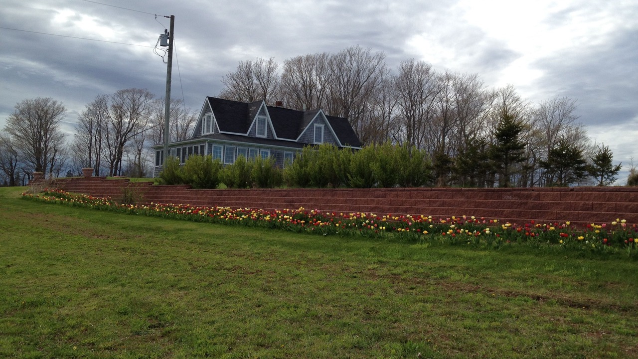 Photo of Outdoor in Belle River