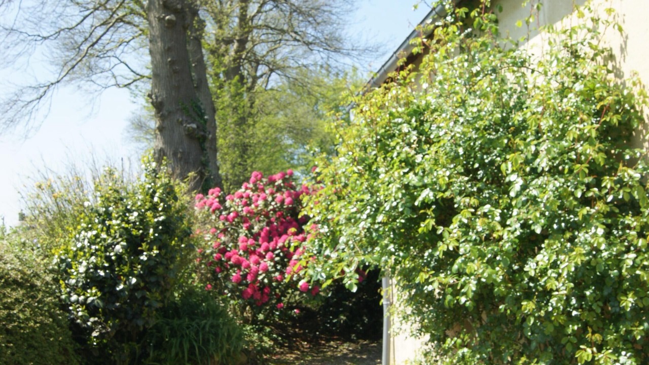 Photo of Outdoor in Bretteville-du-Grand Caux