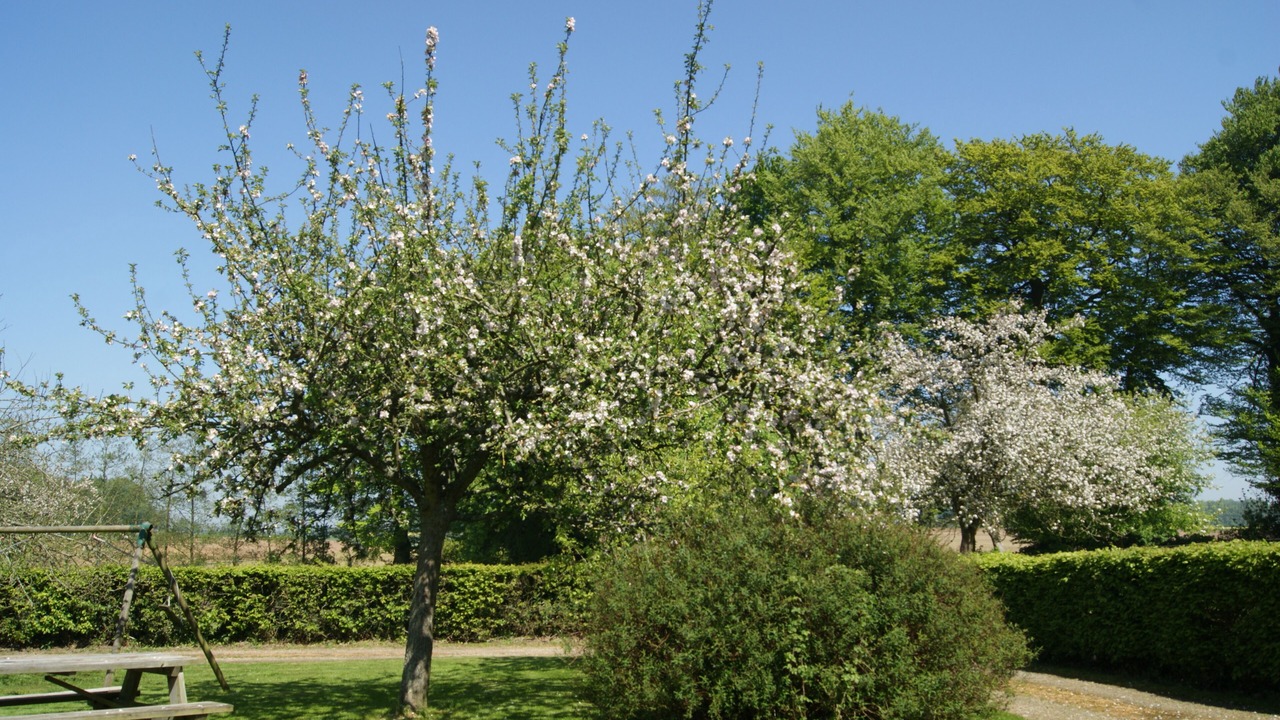 Photo of Outdoor in Bretteville-du-Grand Caux