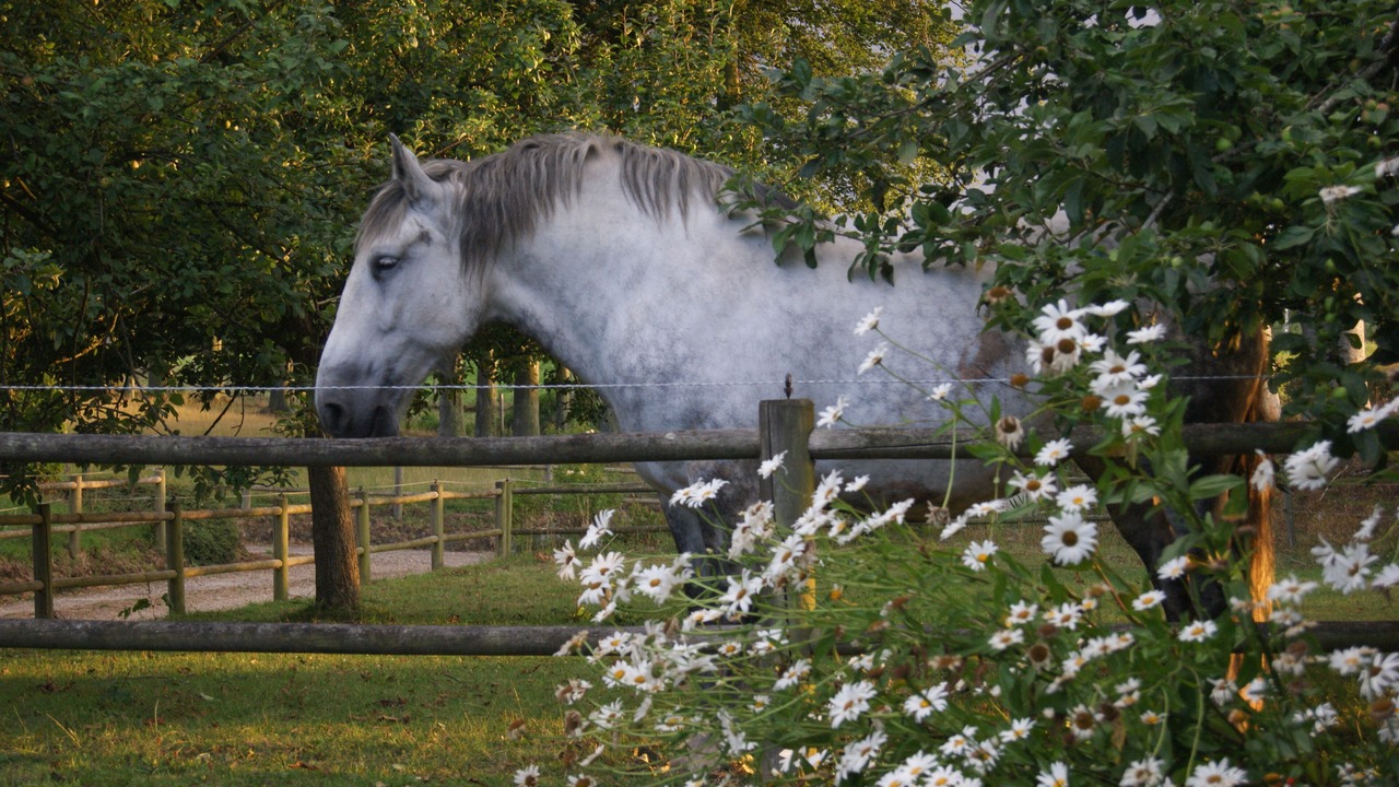 Photo of Outdoor in Bretteville-du-Grand Caux