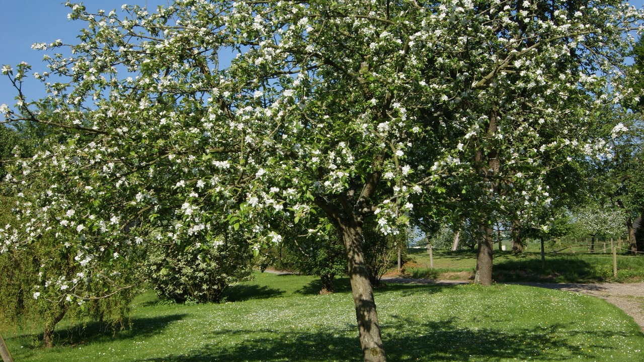 Photo of Outdoor in Bretteville-du-Grand Caux