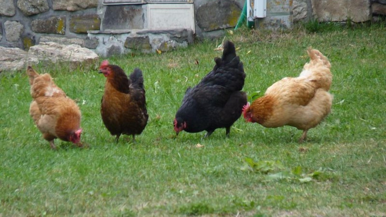 Photo of Outdoor in Monlet