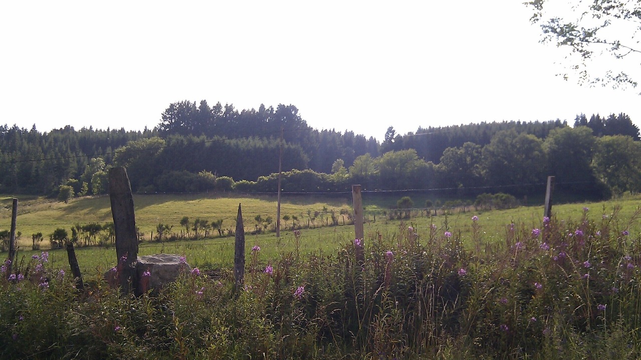 Photo of Outdoor in Monlet