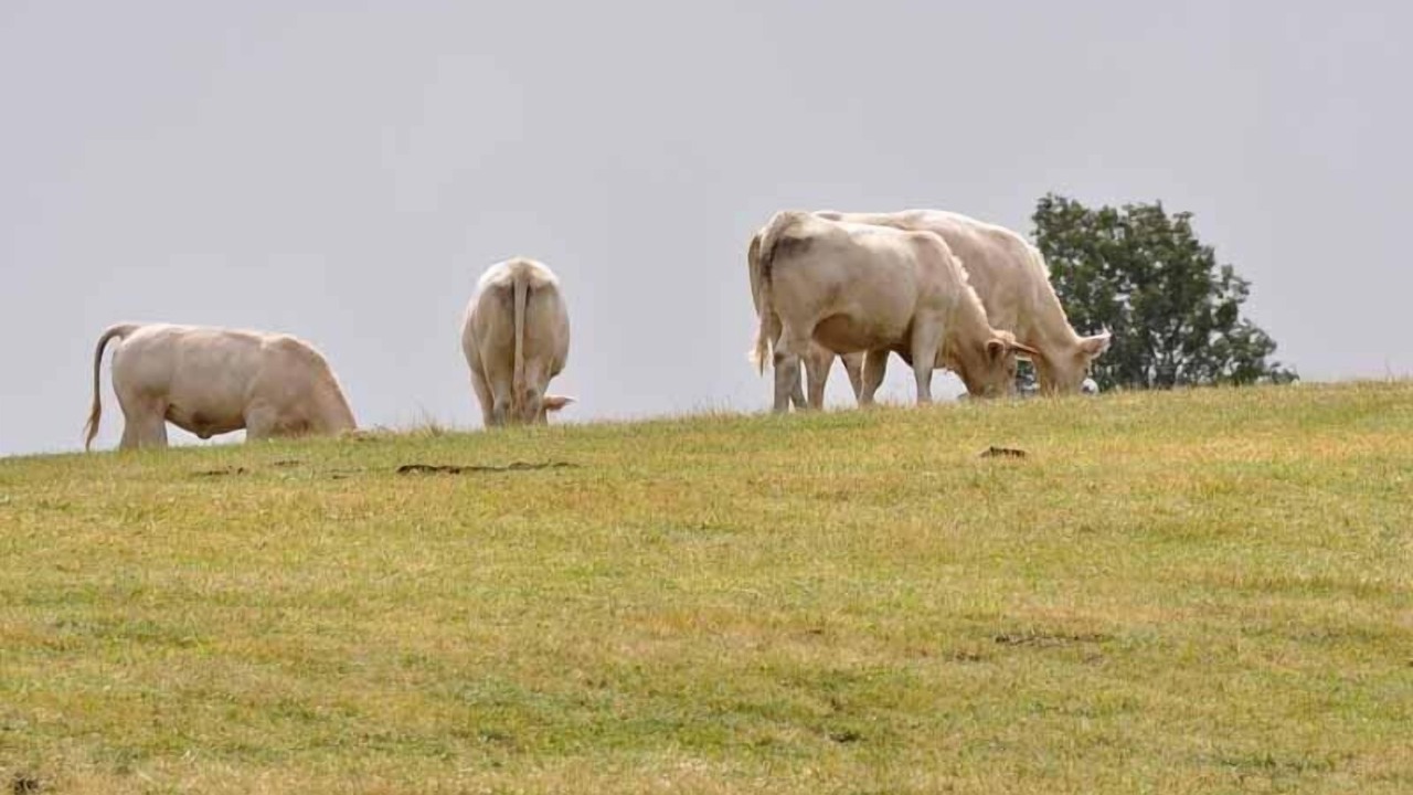 Photo of Outdoor in Monlet