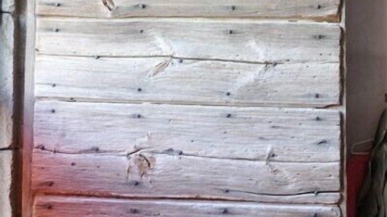 Photo of Outdoor in Monlet