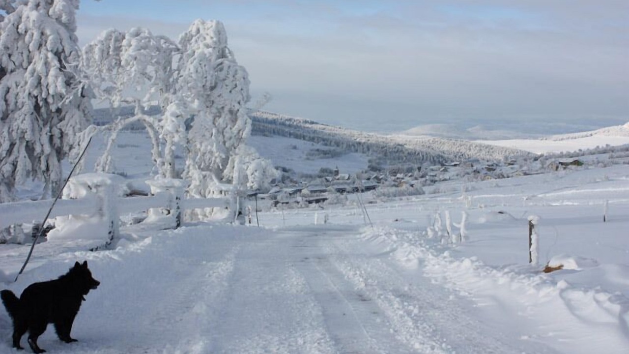 Photo of Others in Monlet