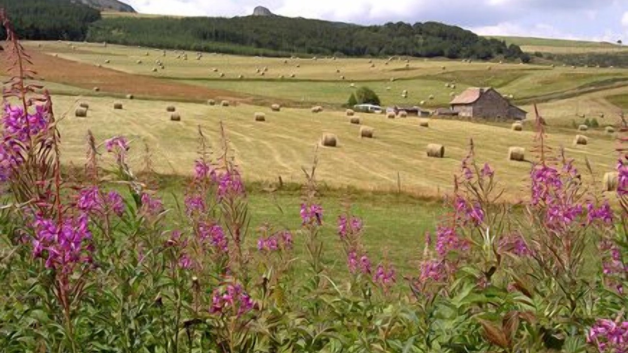 Photo of Others in Monlet