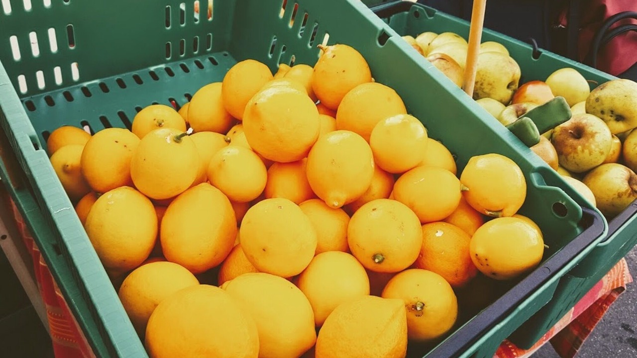 Photo of Others in Downtown