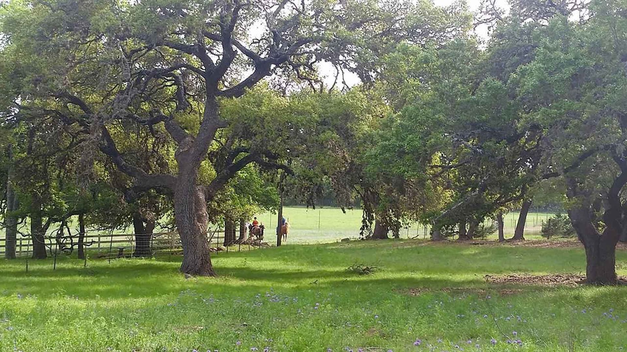 Photo of Others in Boerne