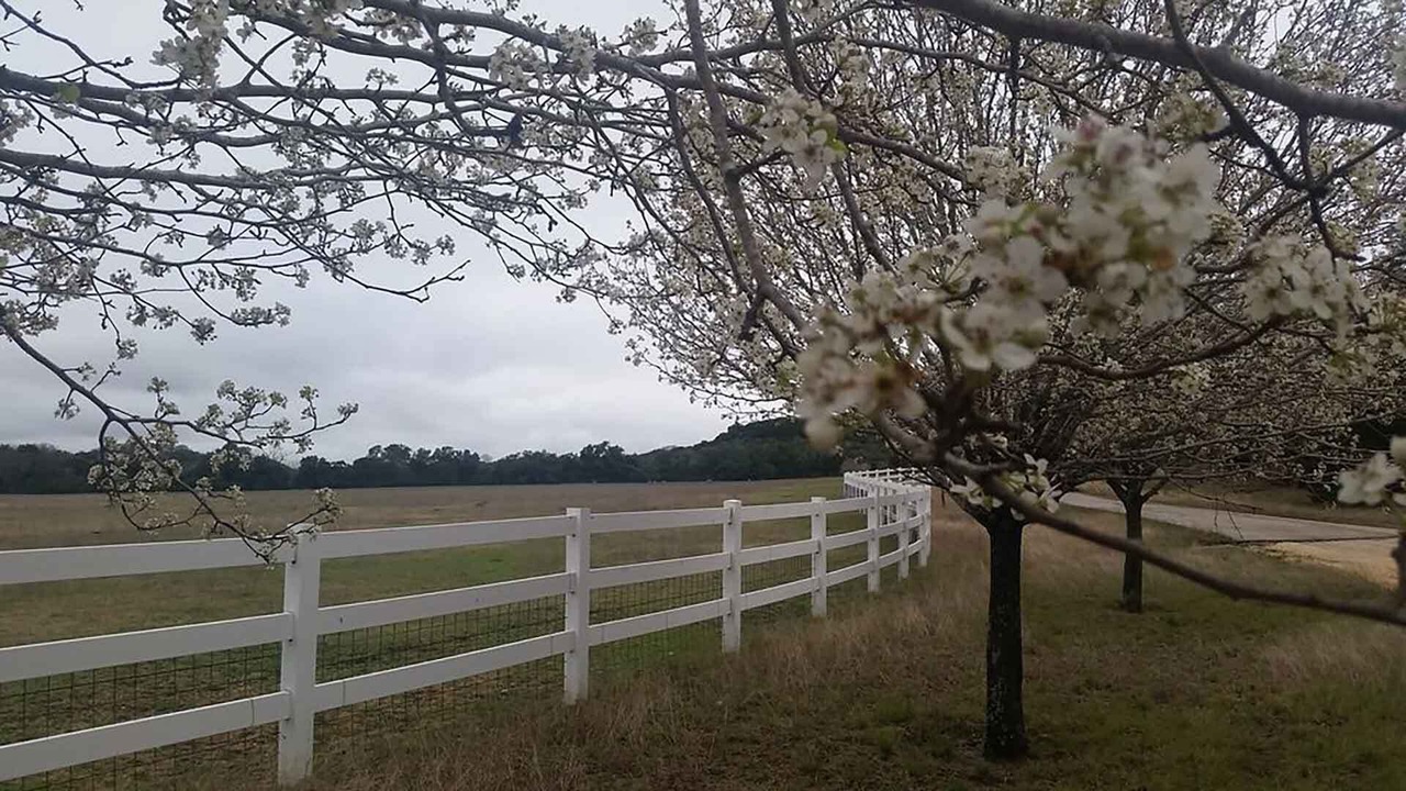 Photo of Outdoor in Boerne