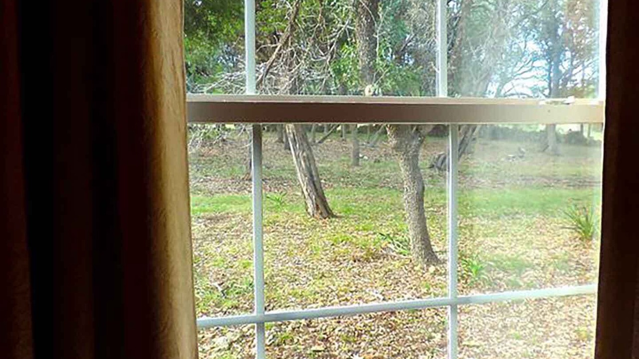 Photo of Others in Boerne