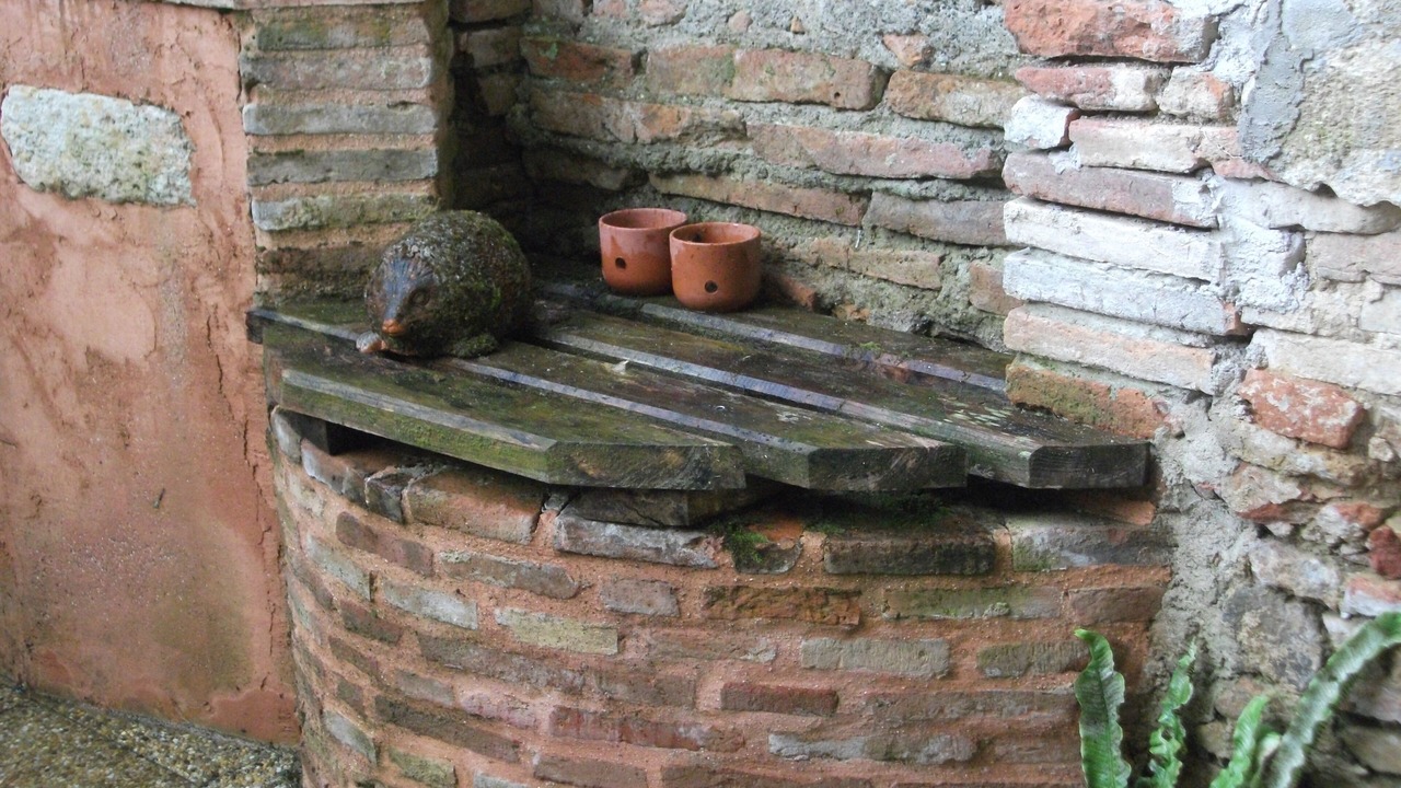 Photo of Outdoor in Beaumont-de-Lomagne