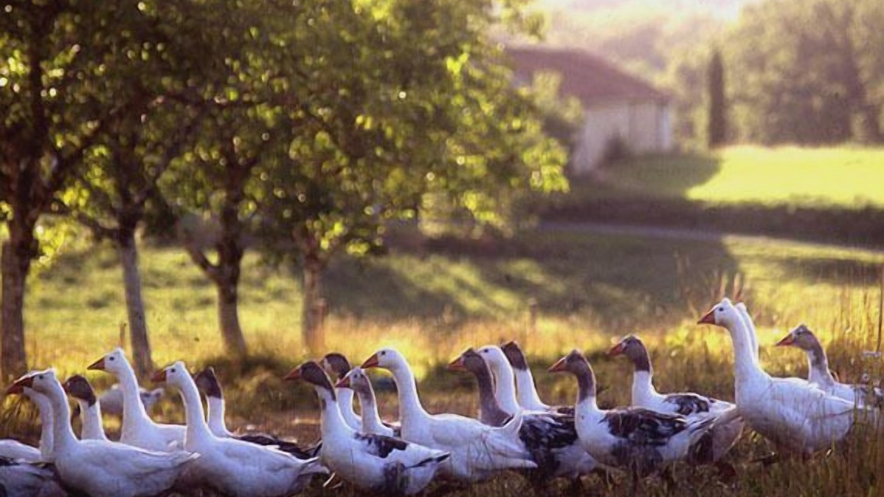Photo of Outdoor in Villefranche-du-Perigord