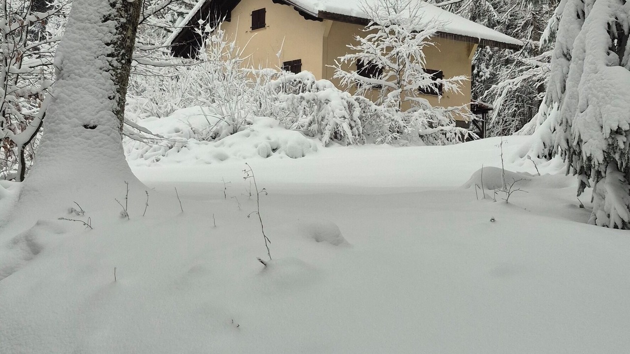 Photo of Outdoor in La Broque