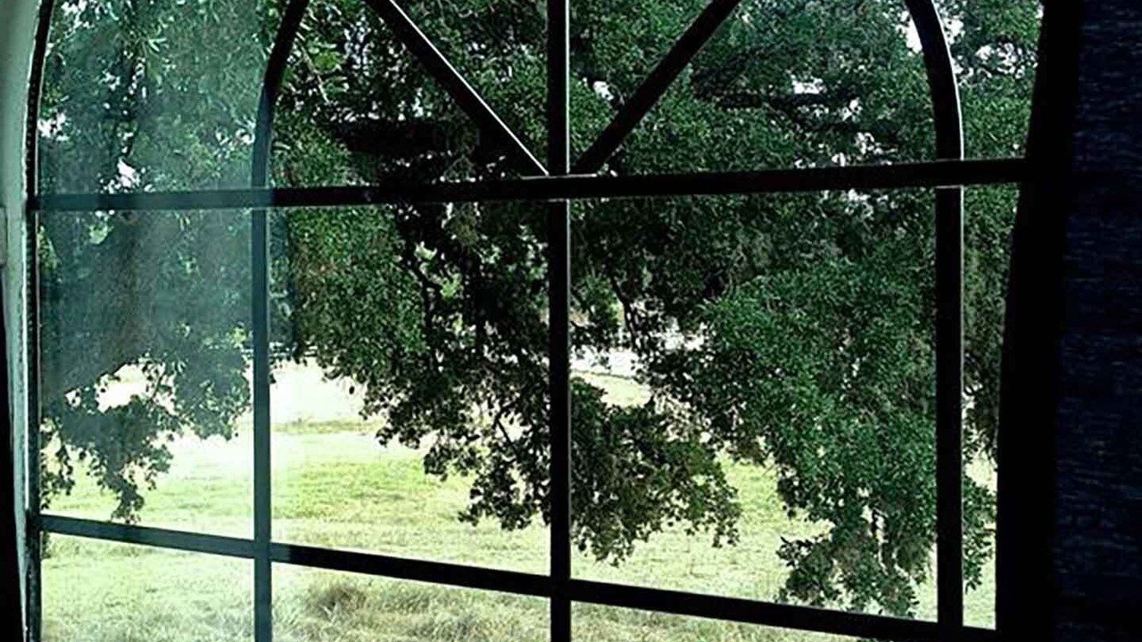 Photo of Others in Boerne