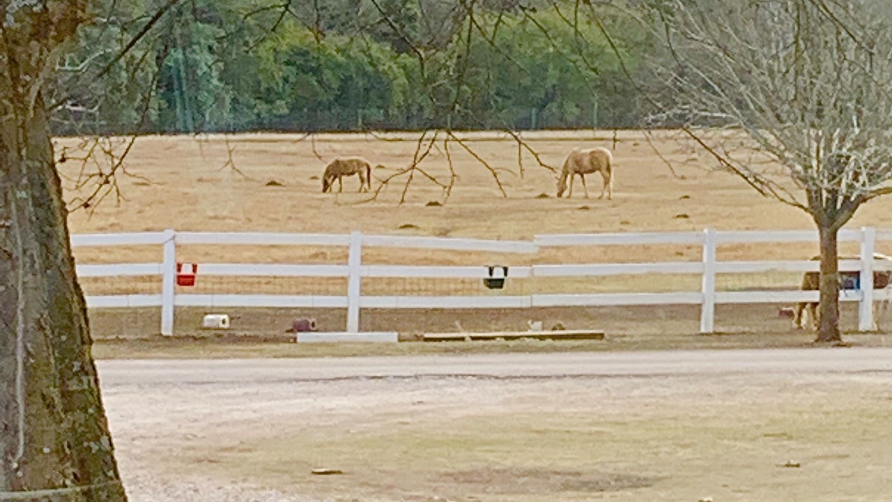Photo of Others in Boerne