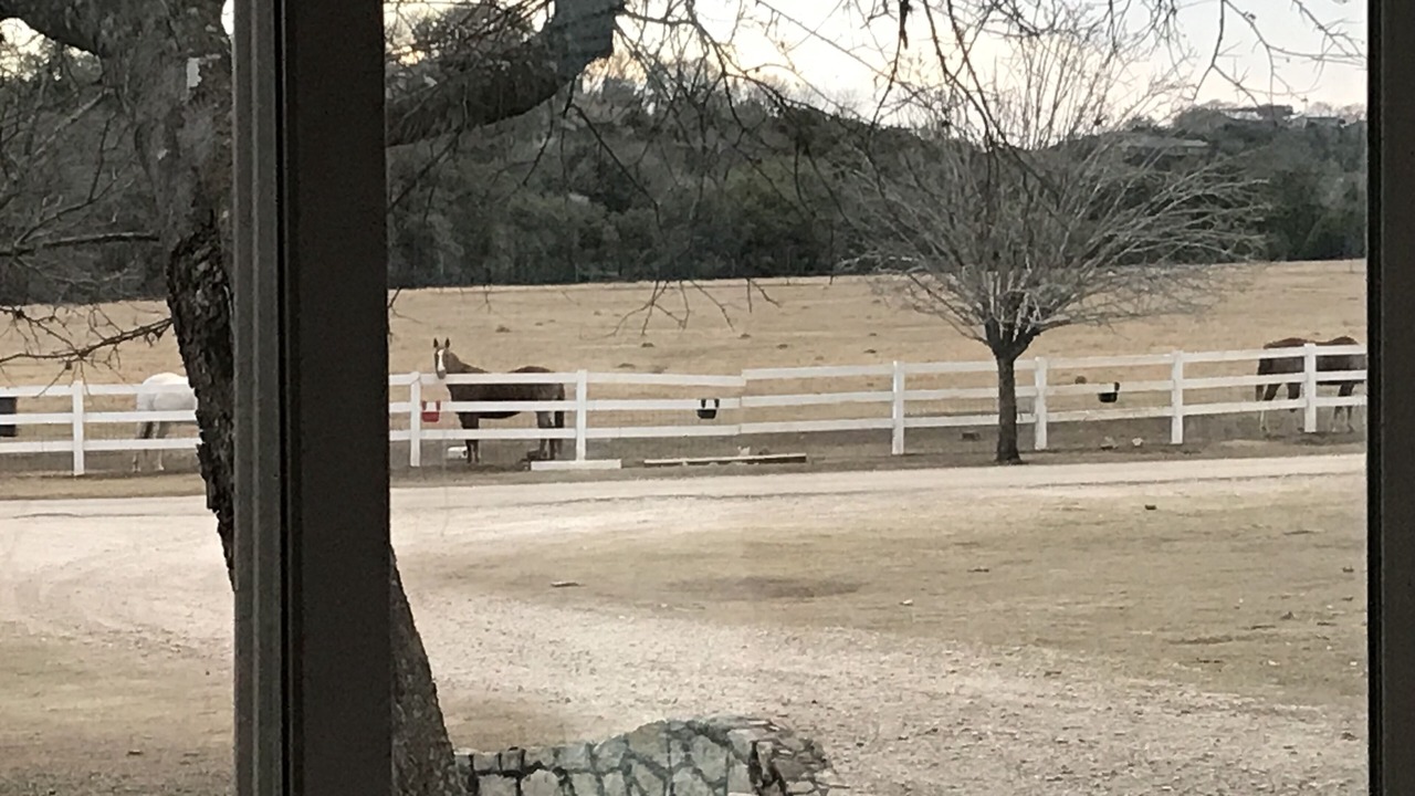 Photo of Others in Boerne
