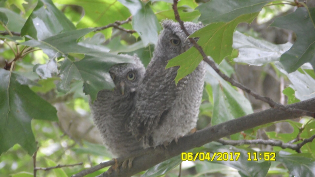 Photo of Others in Omaha