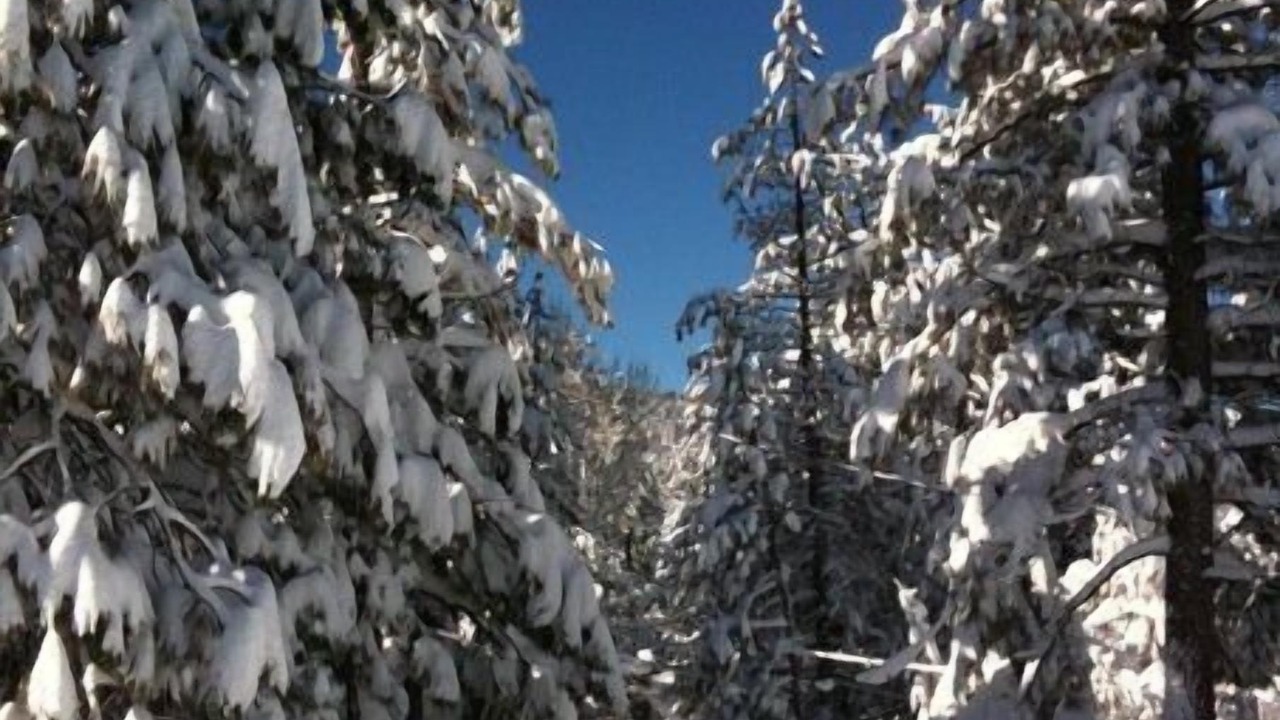 Photo of Outdoor in The Village