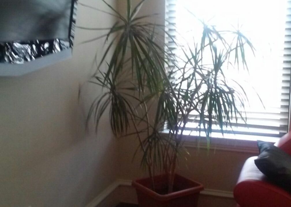 Photo of Bedroom in Turtle Creek