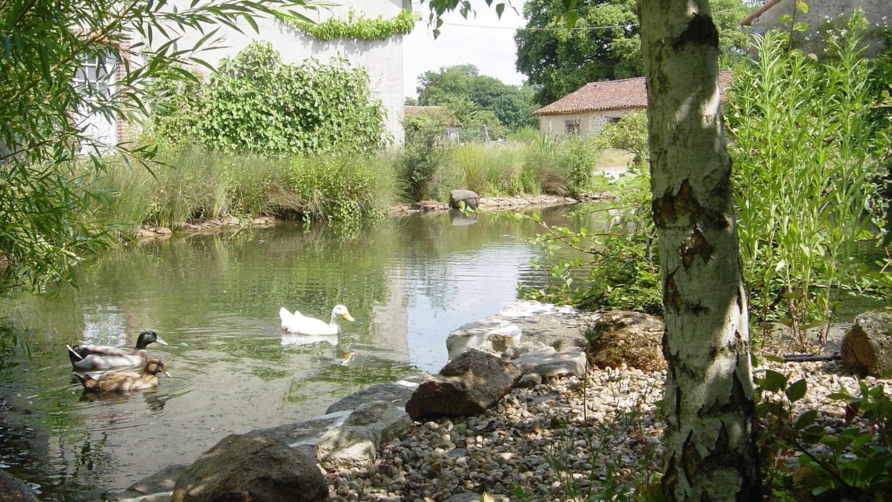 Photo of Outdoor in Lathus-Saint-Remy