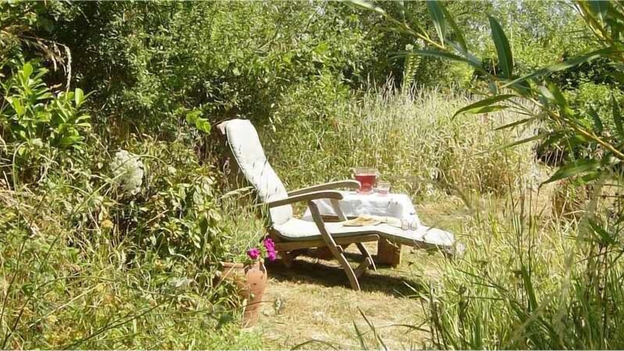 Photo of Outdoor in Lathus-Saint-Remy