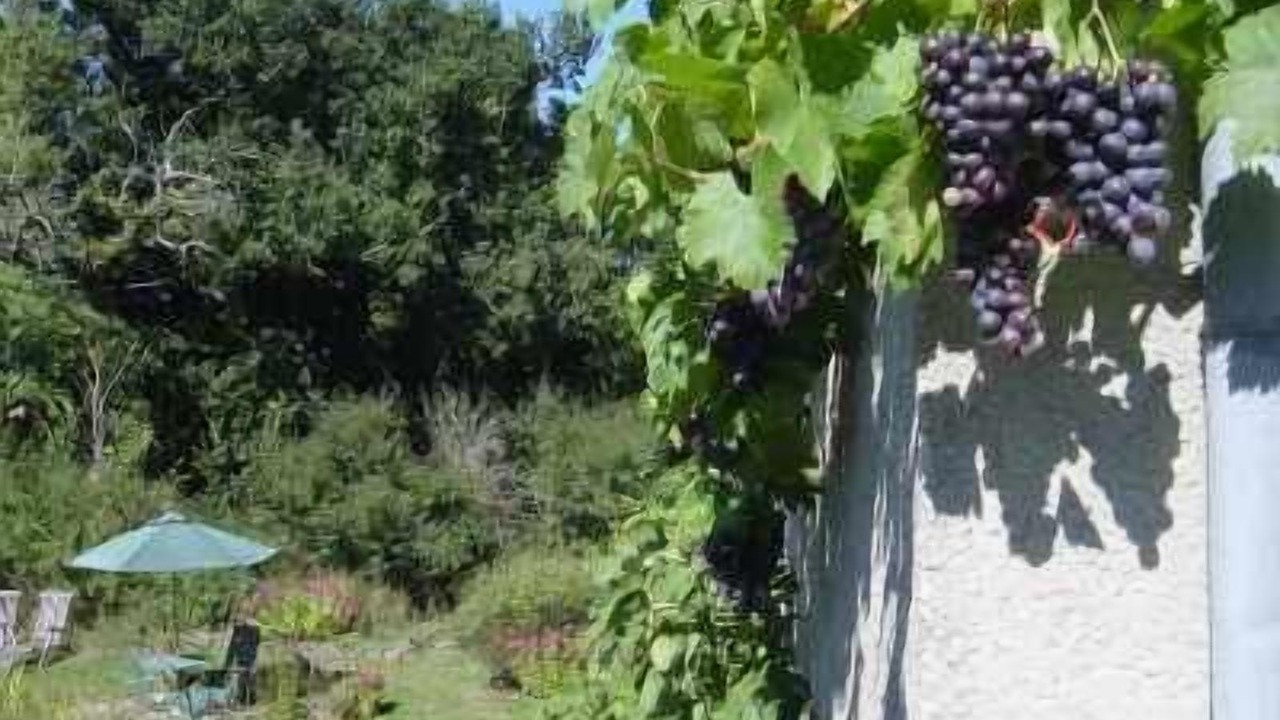 Photo of Outdoor in Lathus-Saint-Remy