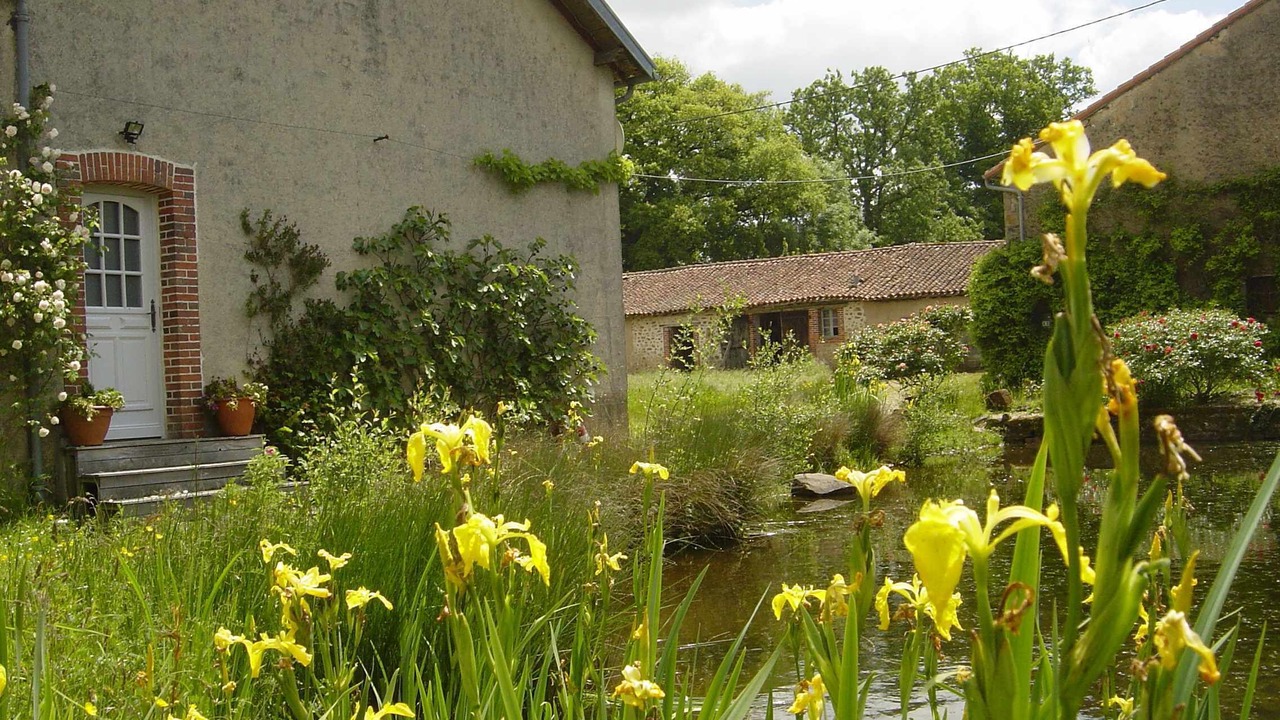 Photo of Outdoor in Lathus-Saint-Remy