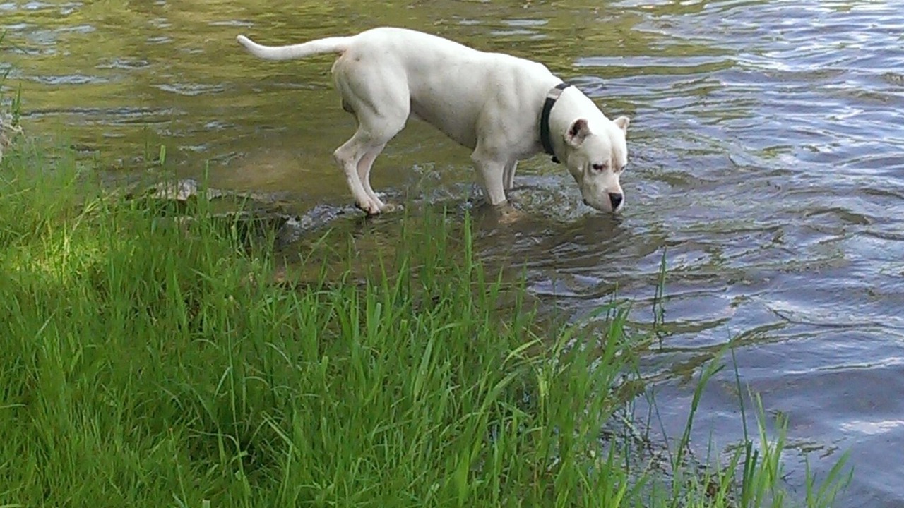 Photo of Outdoor in Lackawaxen