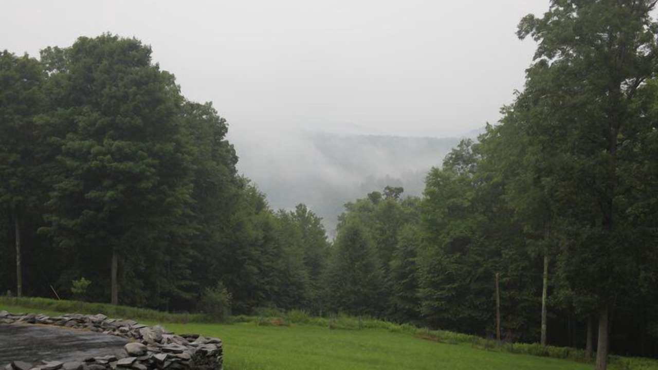 Photo of Others in Lackawaxen