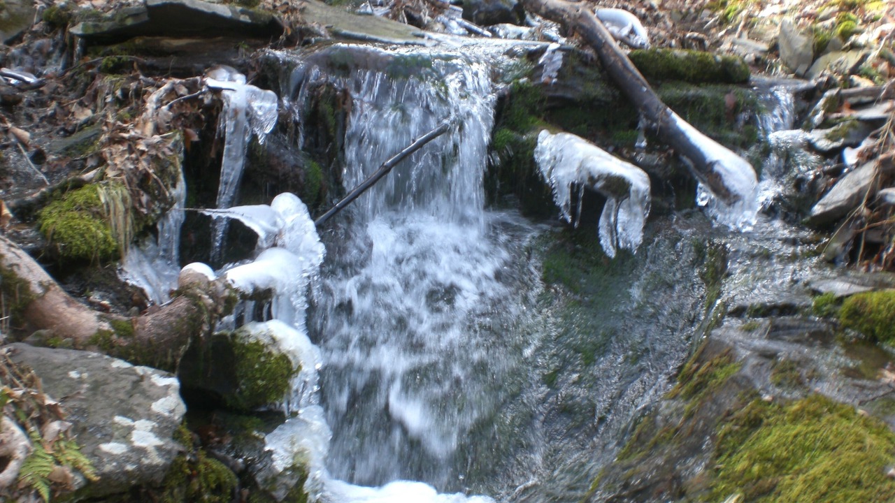 Photo of Outdoor in Lackawaxen