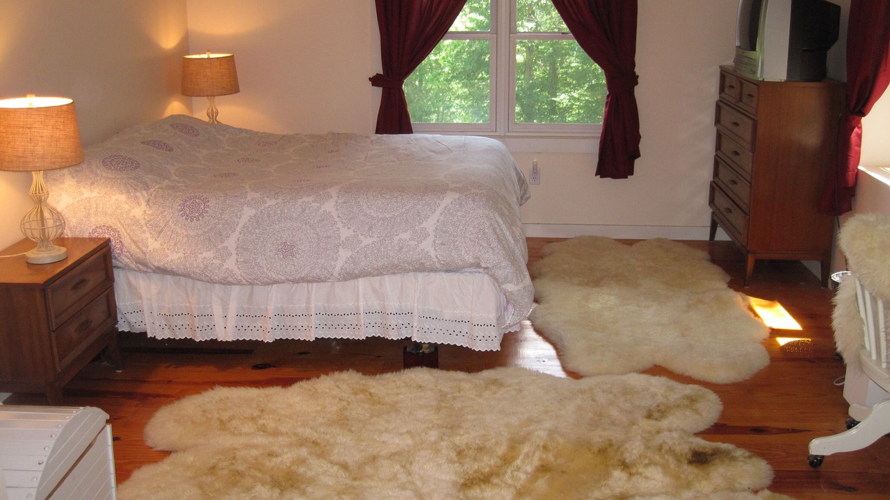 Photo of Others in Lackawaxen