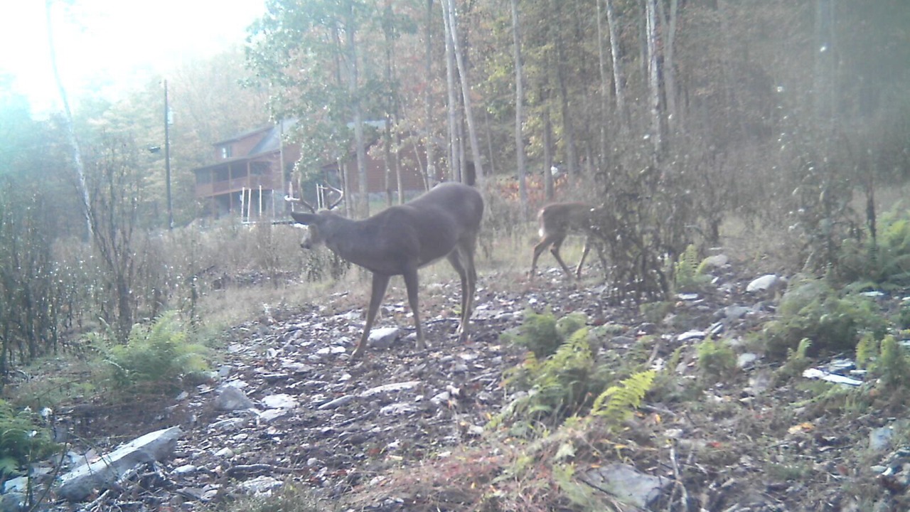 Photo of Others in Lackawaxen