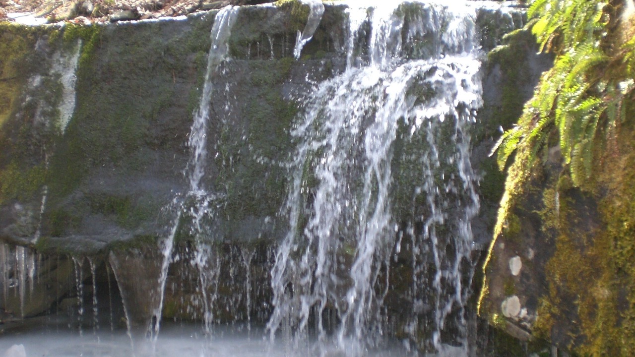 Photo of Outdoor in Lackawaxen