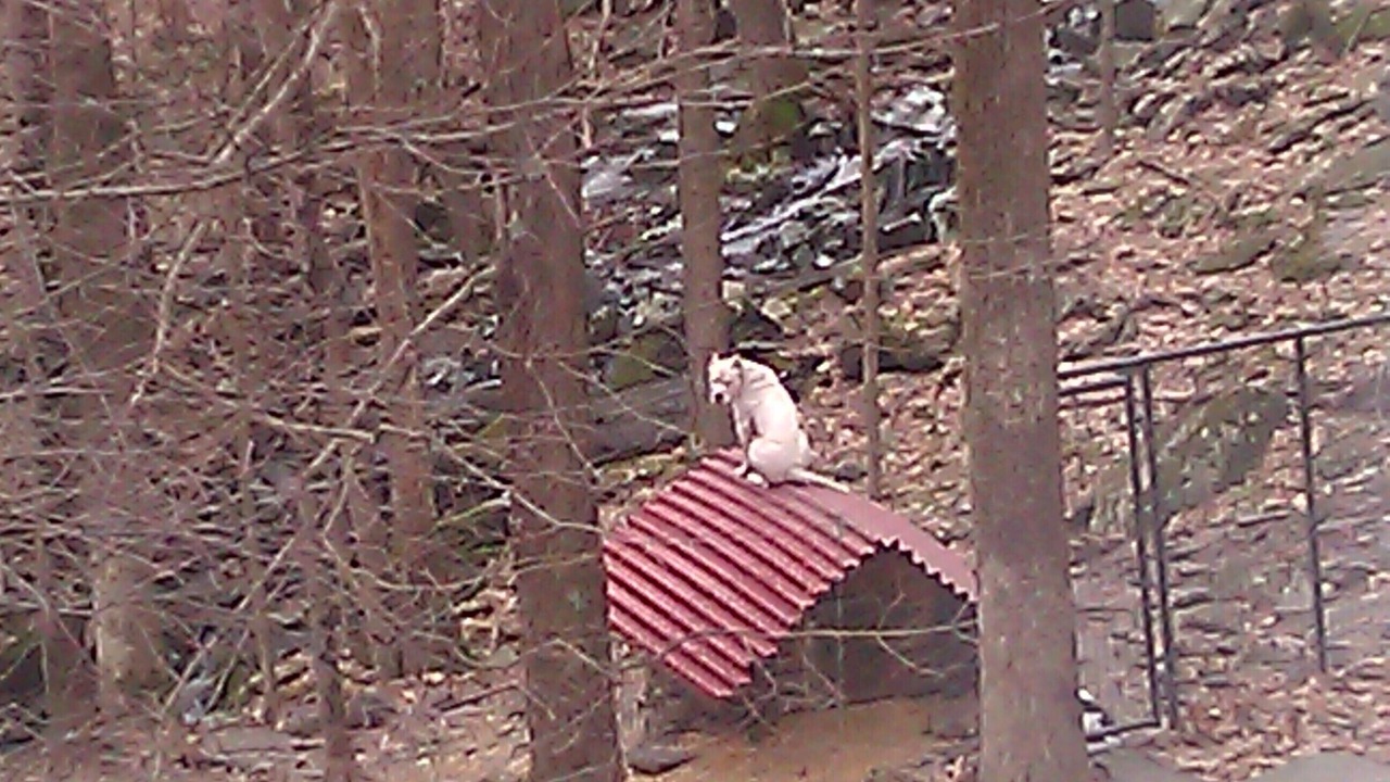 Photo of Others in Lackawaxen