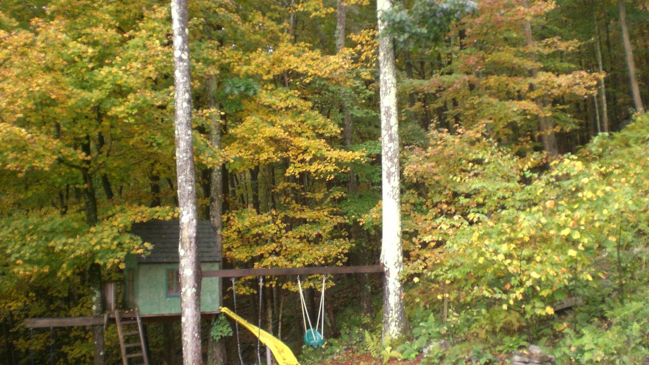 Photo of Outdoor in Lackawaxen