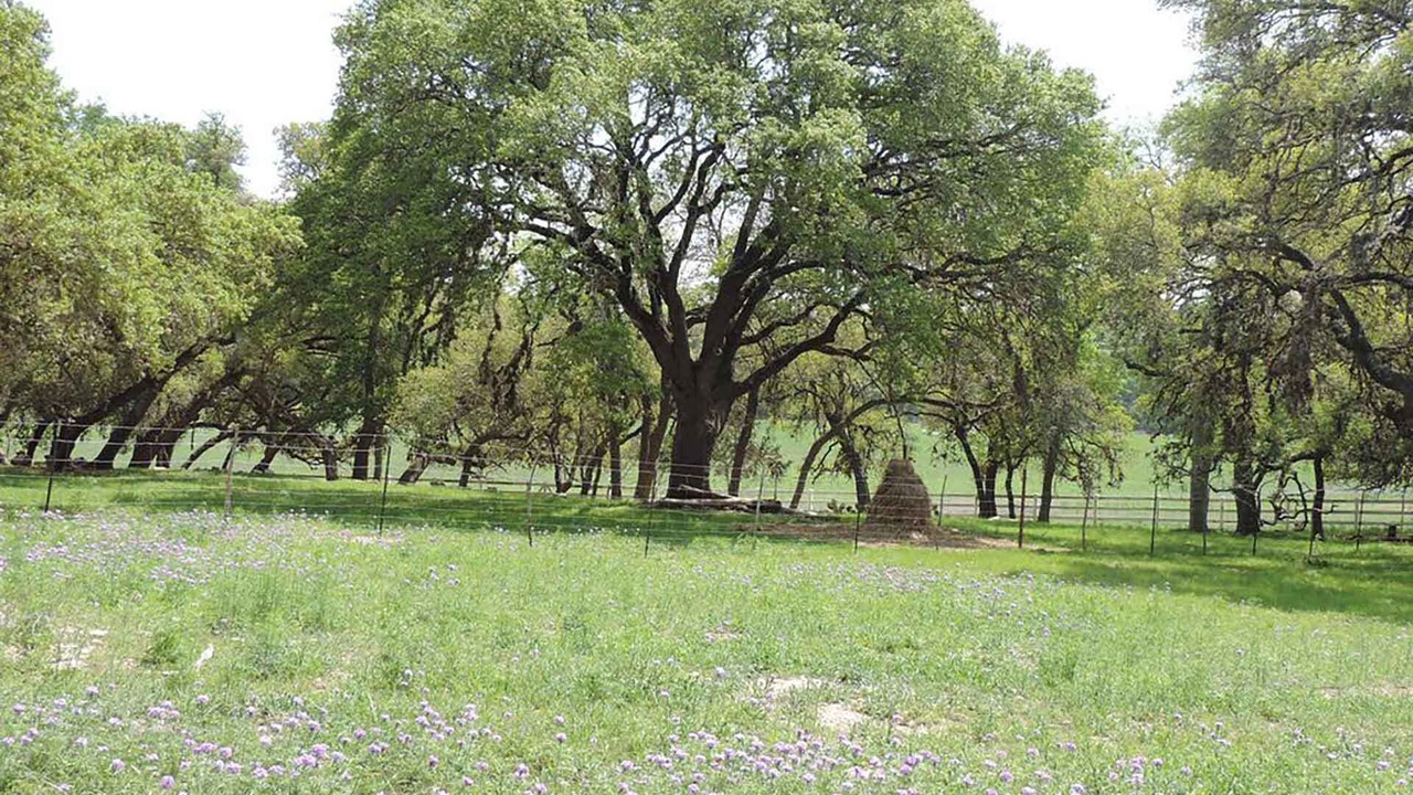 Photo of Outdoor in Boerne