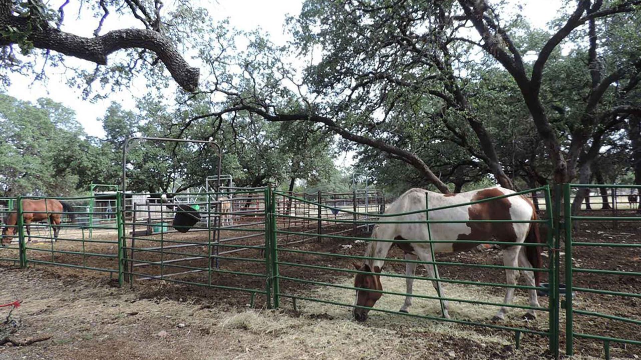 Photo of Others in Boerne