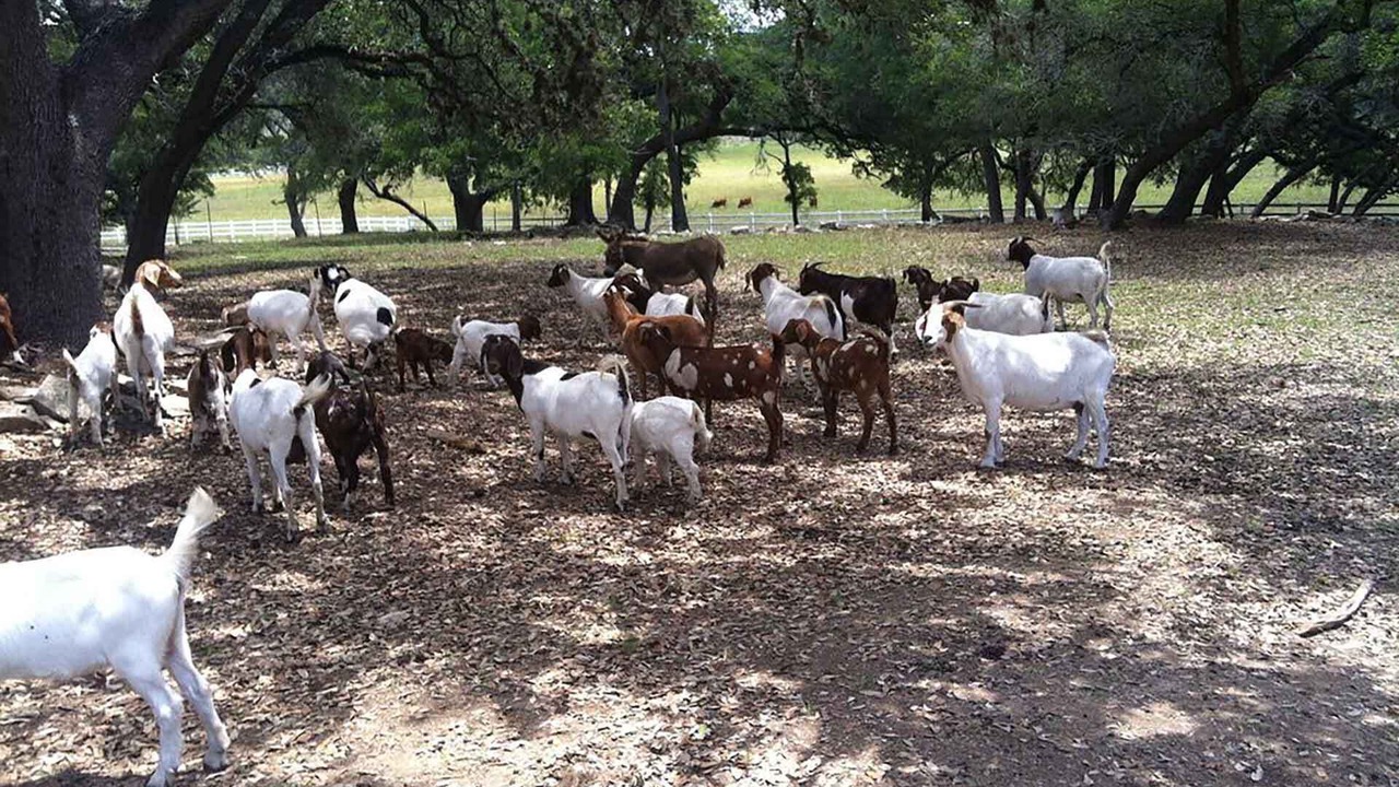 Photo of Outdoor in Boerne