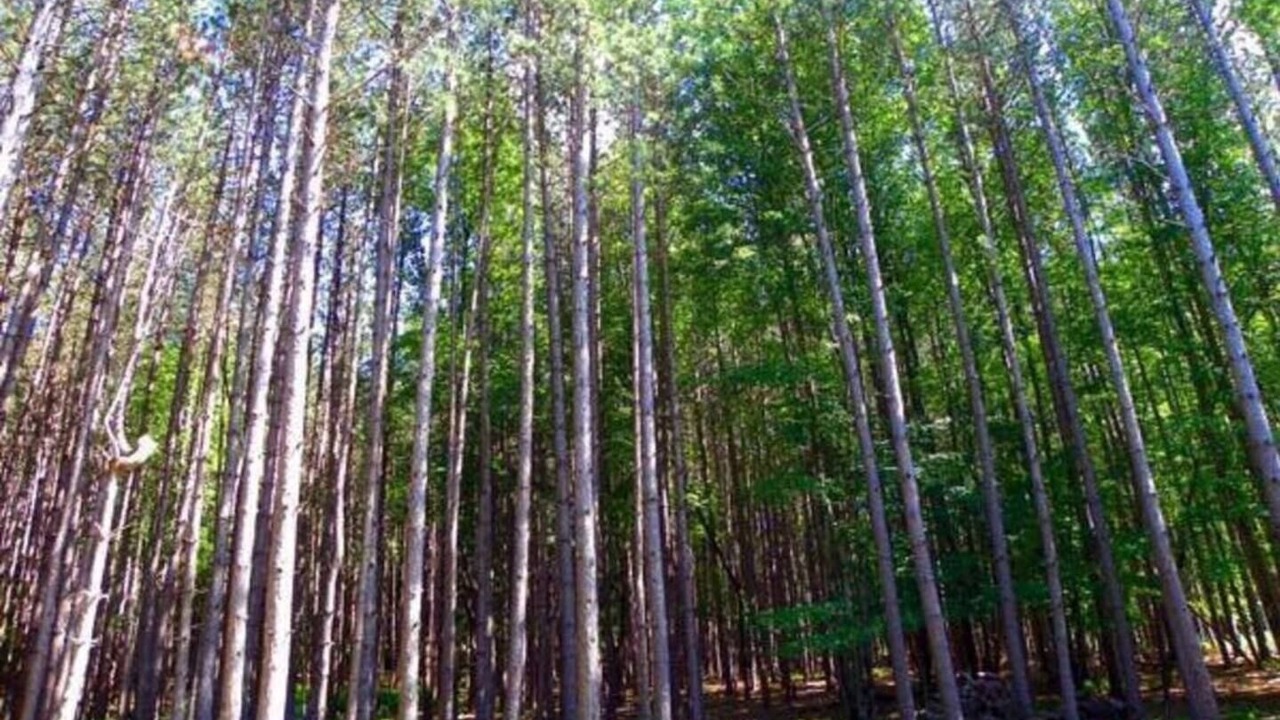 Photo of Others in Davenport