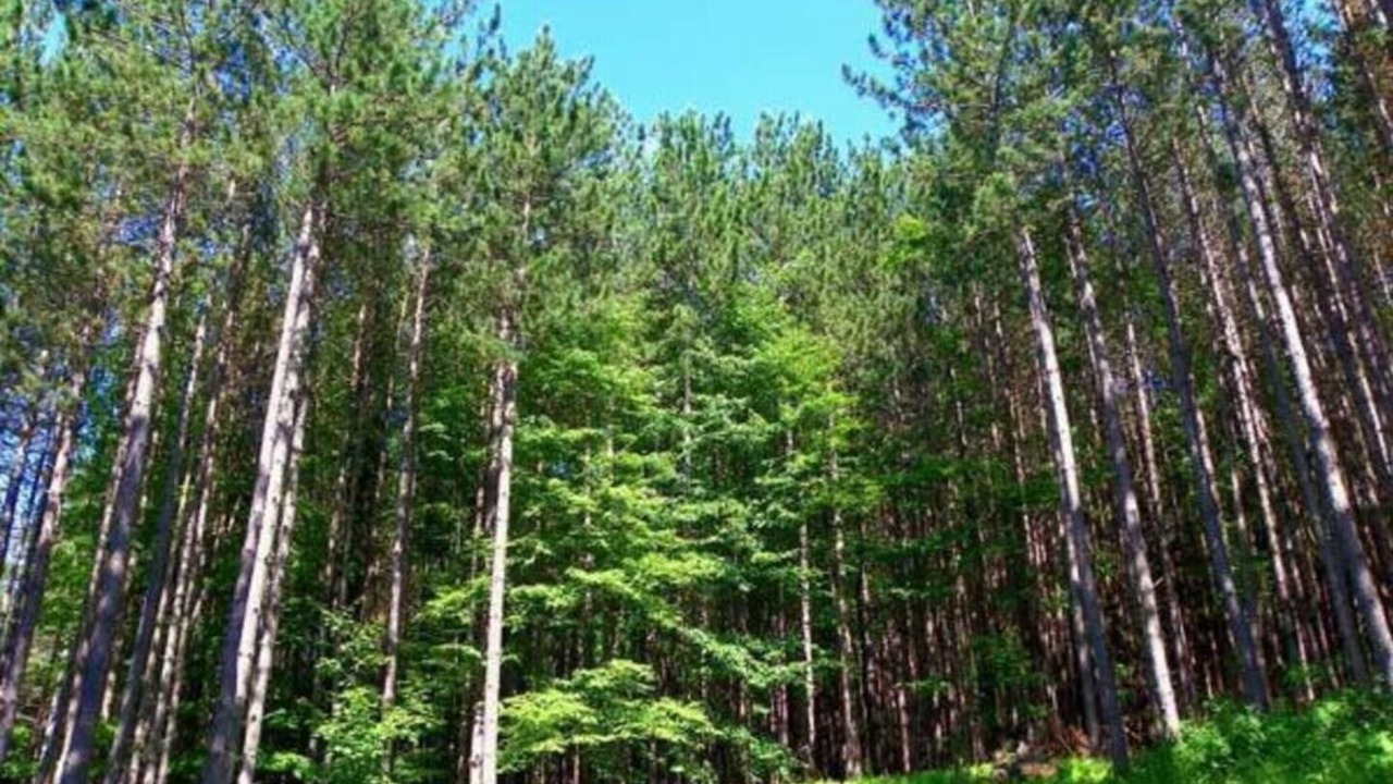 Photo of Others in Davenport