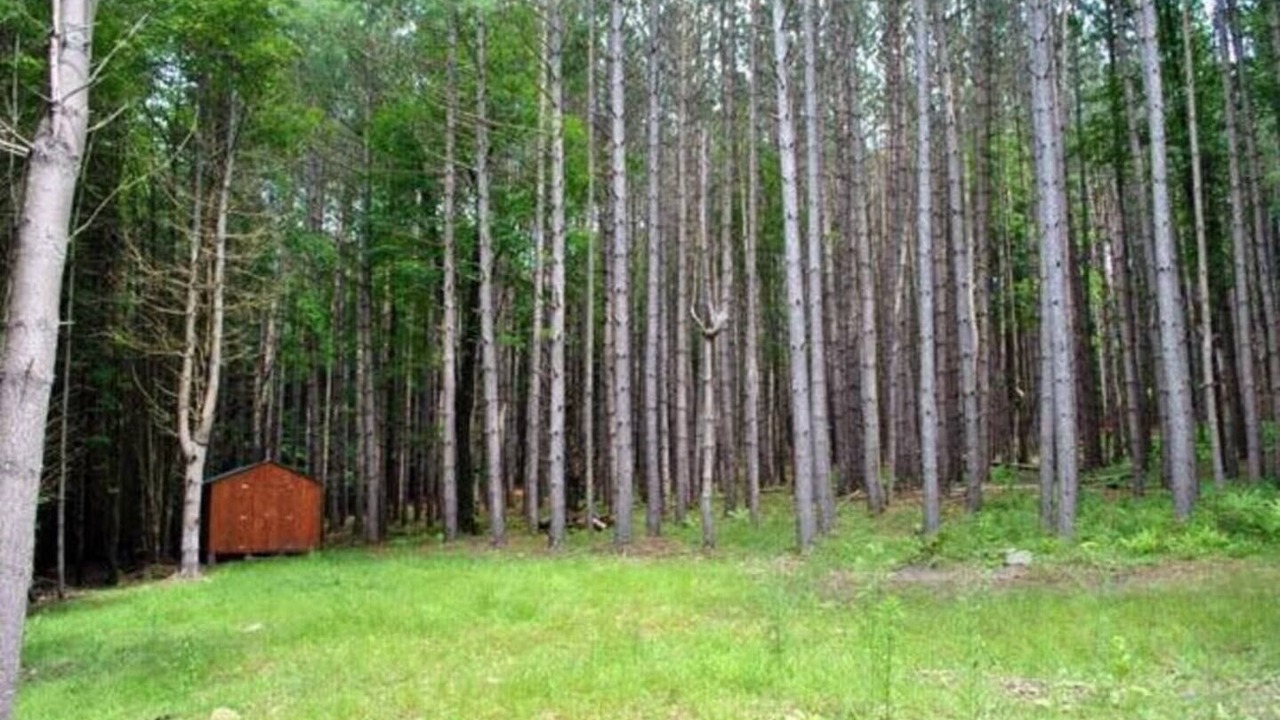 Photo of Others in Davenport